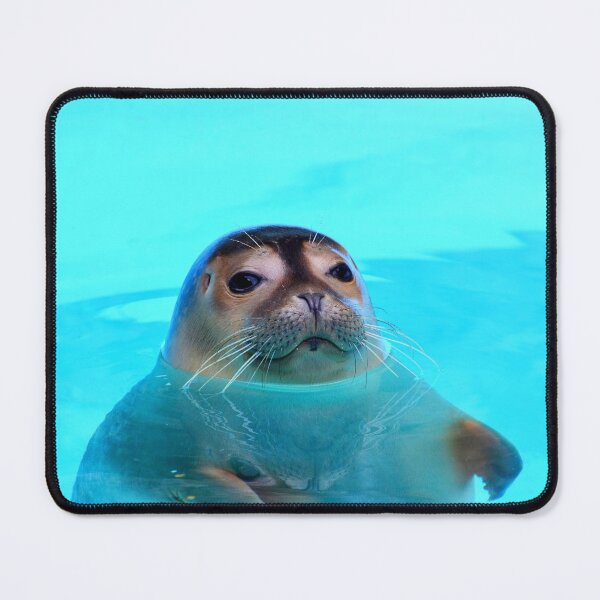 Item preview, seal photo with high resolution quality designed and sold by Allyouneed-2.