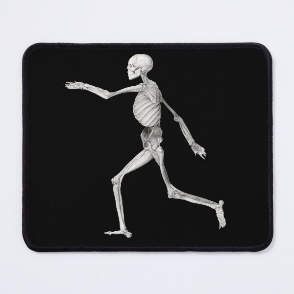 Item preview, Human Skeleton, Lateral View designed and sold by TTOLEDO10K.