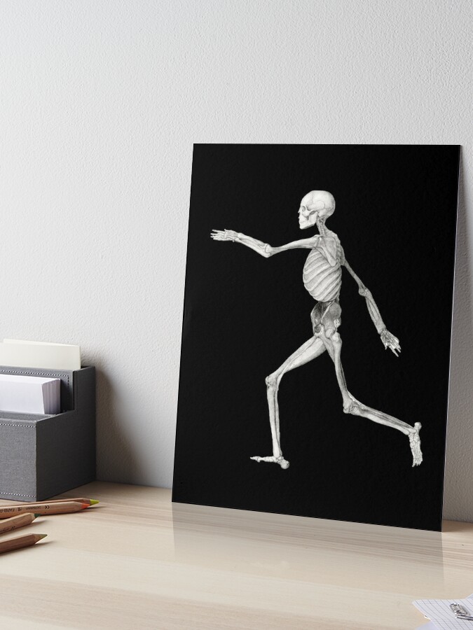 Human Skeleton, Lateral View Art Board Print for Sale by TTOLEDO10K