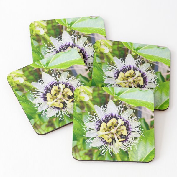 Item preview, Passion flower  designed and sold by C-L-Cs.