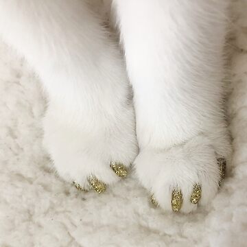 Artwork thumbnail, pretty paws by funkycatathens