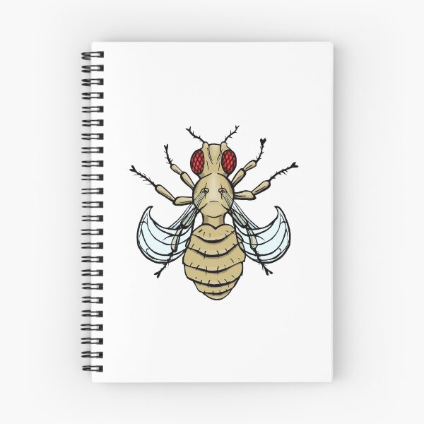 Item preview, Drosophila melanogaster - Curled wings mutation designed and sold by modry-animag.
