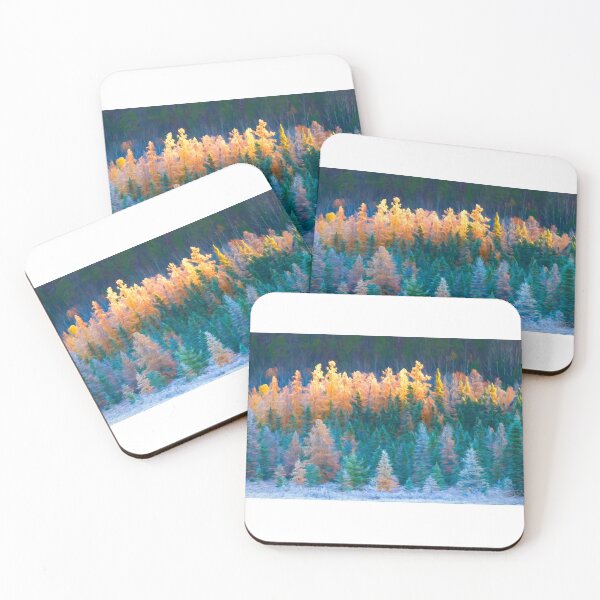 Artikelvorschau, Sonnenaufgang im Algonquin Park entworfen und verkauft von James Cumming.