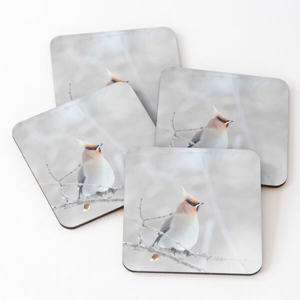 Item preview, Bohemian Waxwing designed and sold by James Cumming.