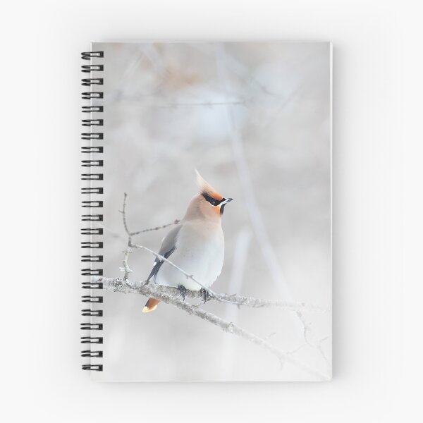 Item preview, Bohemian Waxwing designed and sold by James Cumming.