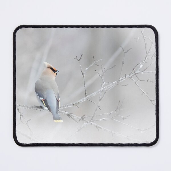 Item preview, Bohemian Waxwing designed and sold by James Cumming.