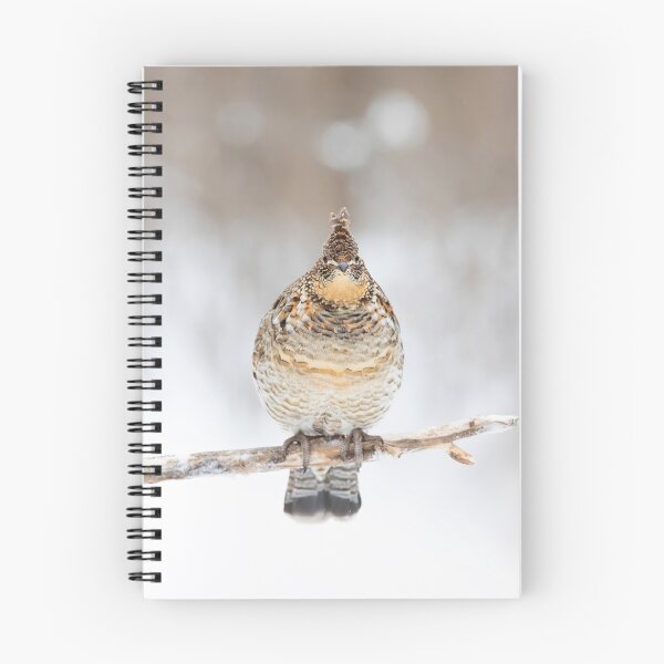 Item preview, Ruffed Grouse designed and sold by James Cumming.