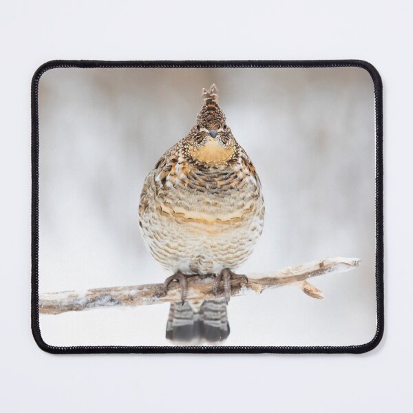 Item preview, Ruffed Grouse designed and sold by James Cumming.