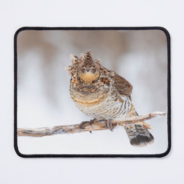 Item preview, 'Fluffed Grouse' designed and sold by James Cumming.