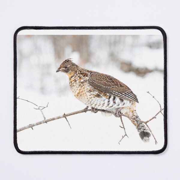 Item preview, Ruffed Grouse designed and sold by James Cumming.