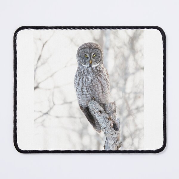 Item preview, Great Grey Owl designed and sold by James Cumming.