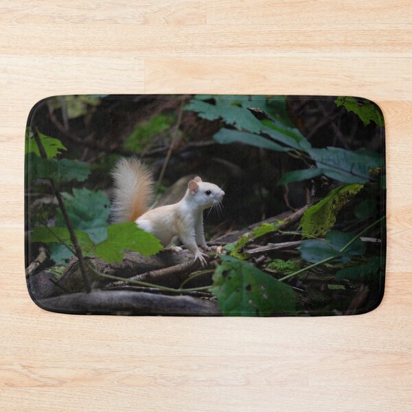 Item preview, Leucistic Red Squirrel in the forest designed and sold by James Cumming.