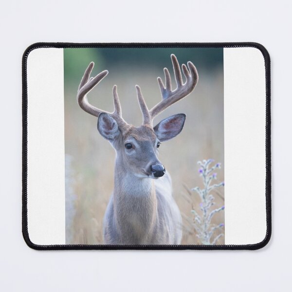 Item preview, White-tailed Buck in Summer designed and sold by James Cumming.