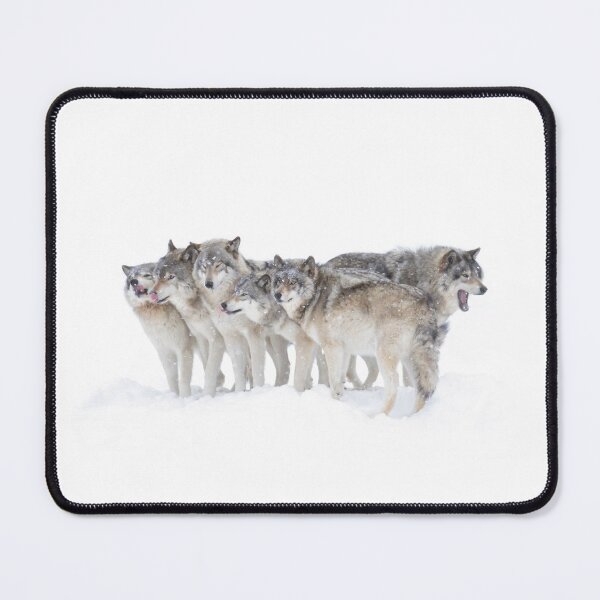Item preview, The Wolf Pack - Timber wolves designed and sold by James Cumming.