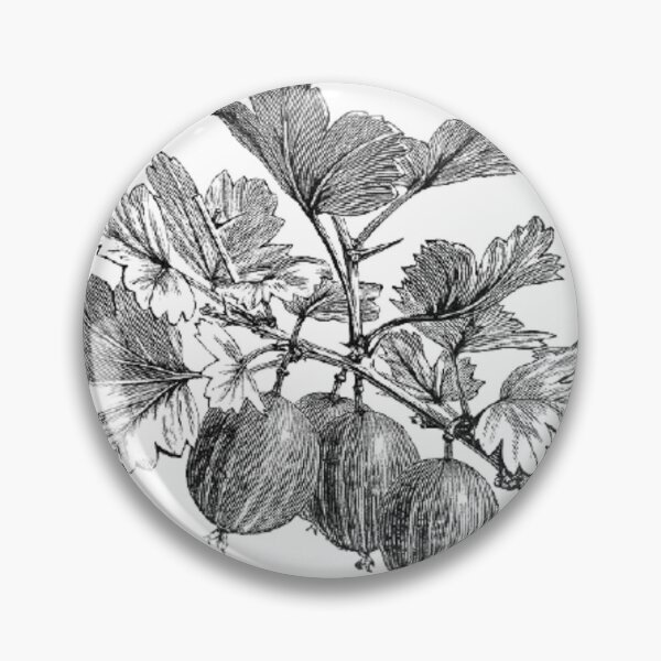 Item preview, Ink gooseberry art print designed and sold by Eva Vincent.
