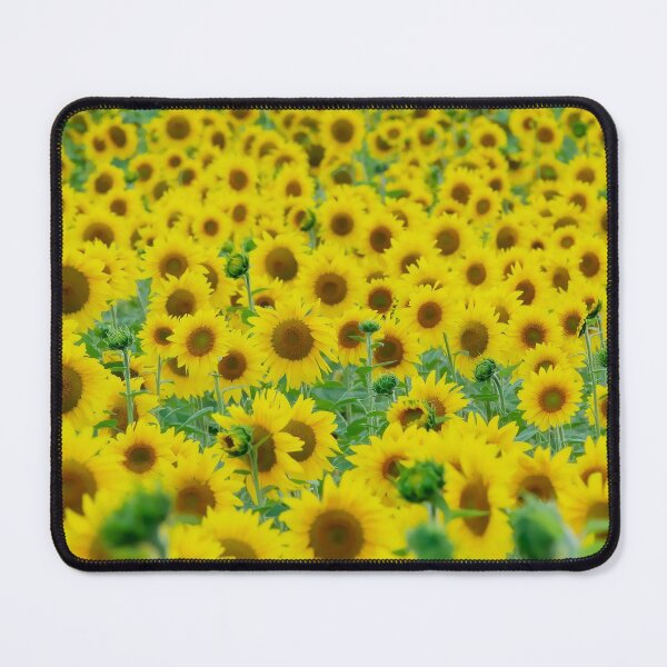Item preview, Sunflowers at sunrise designed and sold by James Cumming.