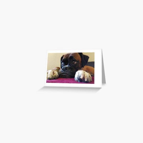 Carte De Vœux Joyeux Anniversaire Mignon Chien Boxer Par Drcliff Redbubble