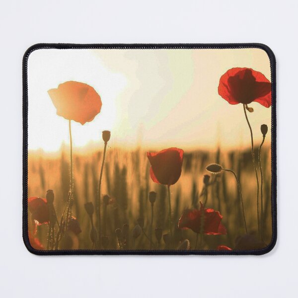 Item preview, Copy of Copy of puesta de sol, invierno, árboles forestales designed and sold by RanaGH.