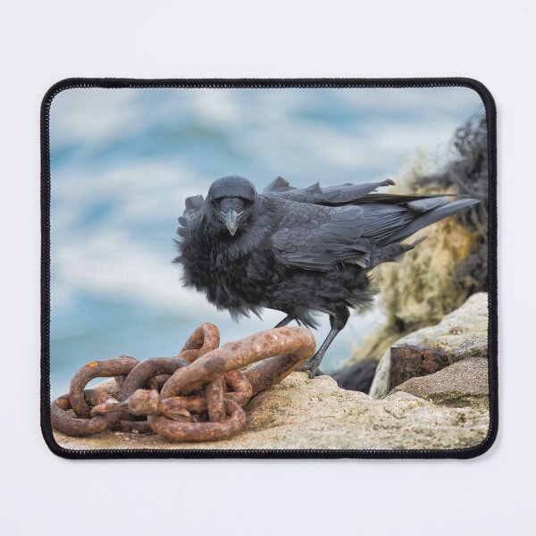 Item preview, Carrion Crow at the Harbour designed and sold by Dorset Girl.