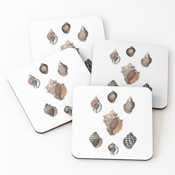 Item preview, Aesthetic Seashells Art Print designed and sold by Eva Vincent.