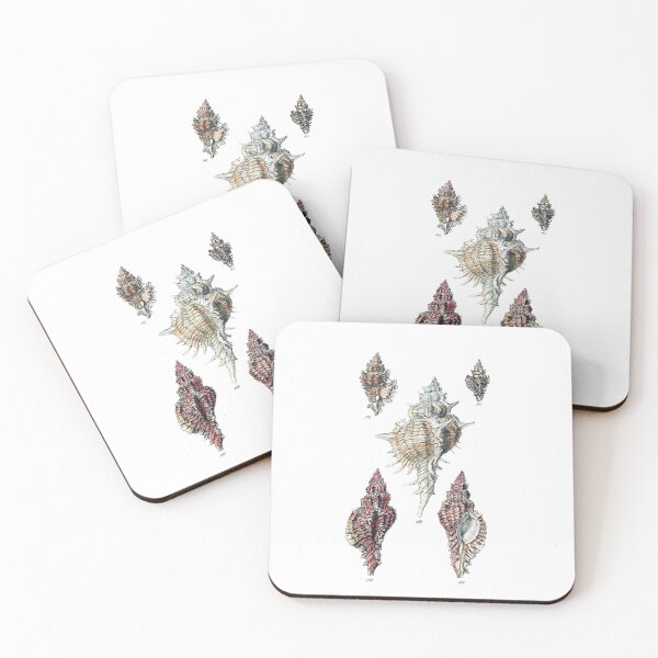 Item preview, Aesthetic Seashells Art Print designed and sold by Eva Vincent.