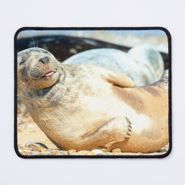 Item preview, seal photo with high resolution quality designed and sold by Allyouneed-2.