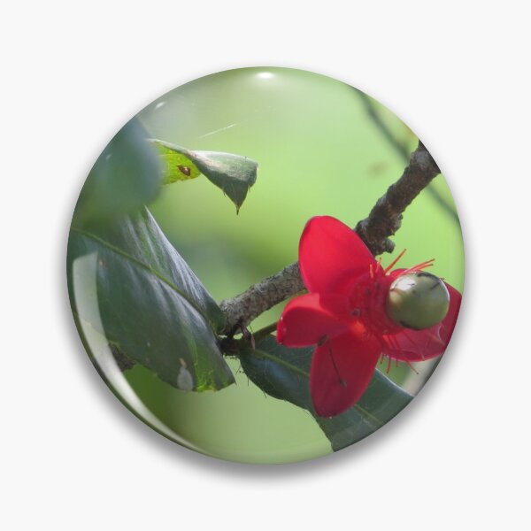 Item preview, Flower designed and sold by Rene-Martin.