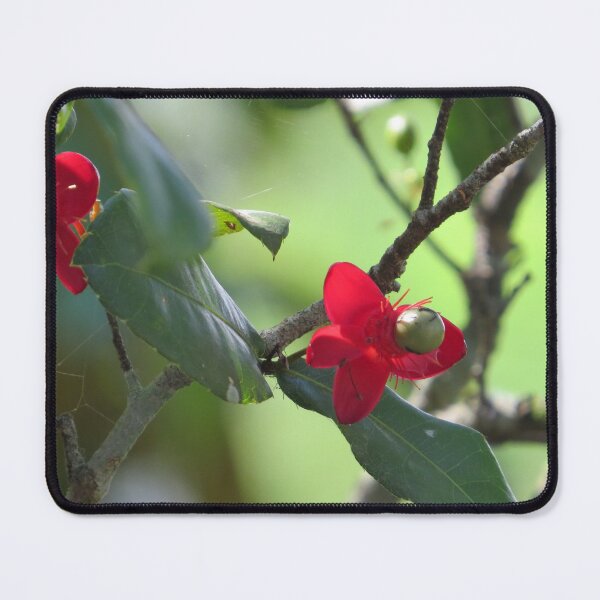 Item preview, Flower designed and sold by Rene-Martin.