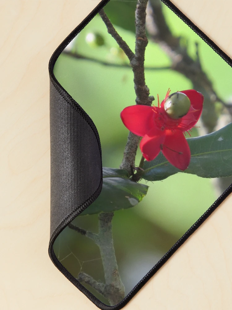 Thumbnail 2 of 5, Mouse Pad, Flower designed and sold by Rene-Martin.
