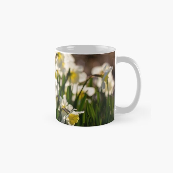 Sunlit Daffodils Classic Mug