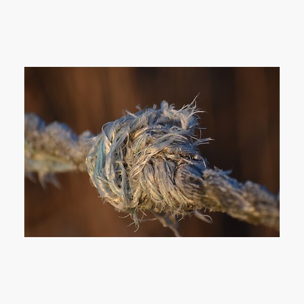 Item preview, A rope with a knot designed and sold by Tonia Delozier's Photography .