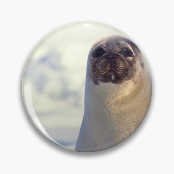Item preview,   seal photo with high resolution quality designed and sold by Allyouneed-2.