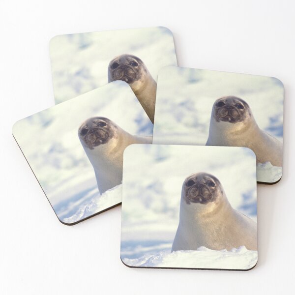 Item preview,   seal photo with high resolution quality designed and sold by Allyouneed-2.