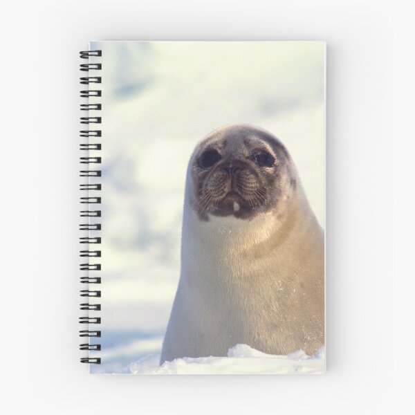 Item preview,   seal photo with high resolution quality designed and sold by Allyouneed-2.