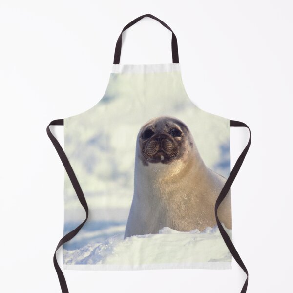 Item preview, seal photo with high resolution quality designed and sold by Allyouneed-2.