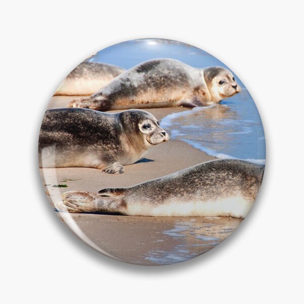 Item preview,  seal photo with high resolution quality designed and sold by Allyouneed-2.