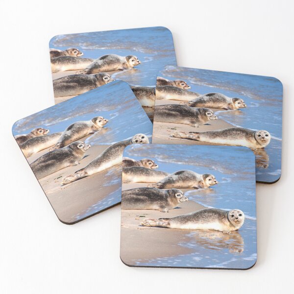 Item preview,  seal photo with high resolution quality designed and sold by Allyouneed-2.