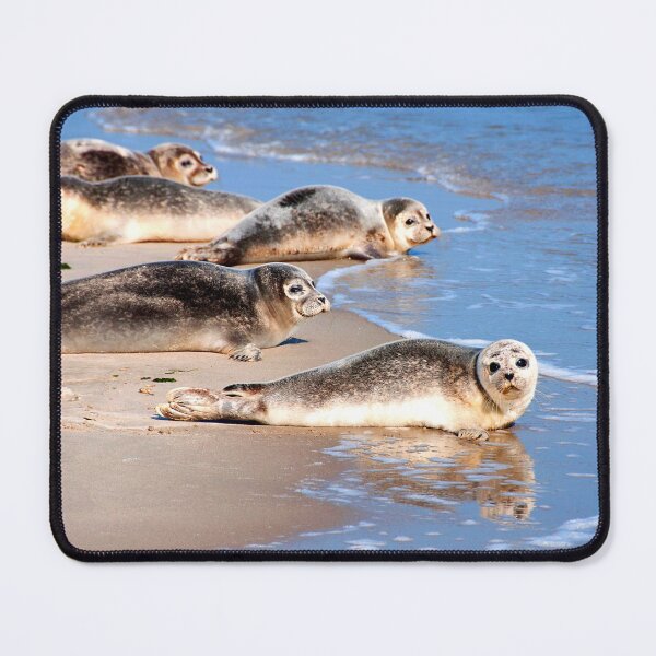 Item preview,  seal photo with high resolution quality designed and sold by Allyouneed-2.