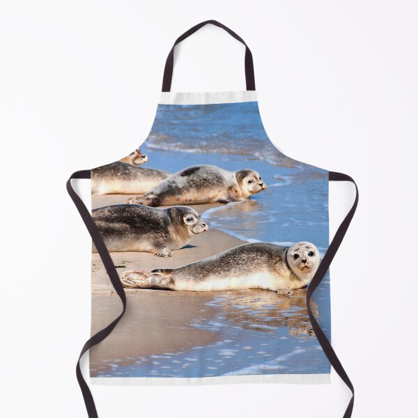 Item preview, seal photo with high resolution quality designed and sold by Allyouneed-2.