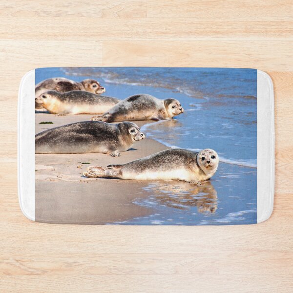 Item preview,  seal photo with high resolution quality designed and sold by Allyouneed-2.