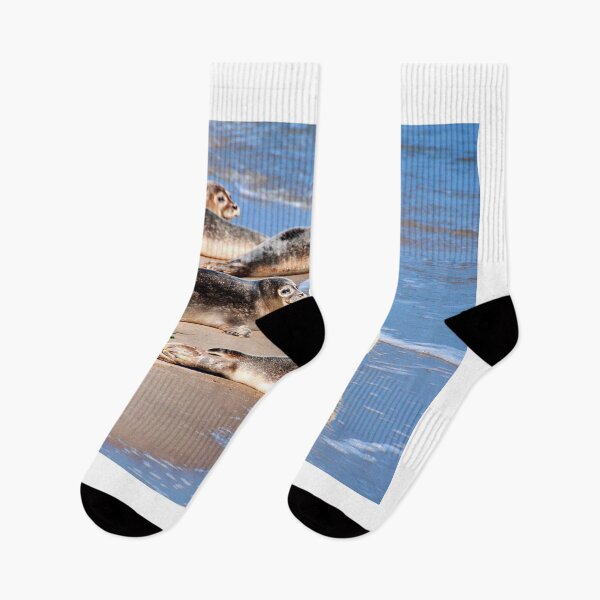 Item preview,  seal photo with high resolution quality designed and sold by Allyouneed-2.