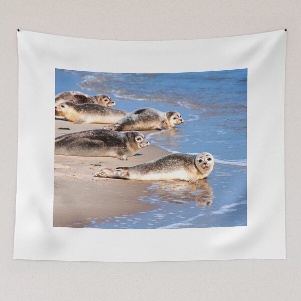 Item preview,  seal photo with high resolution quality designed and sold by Allyouneed-2.