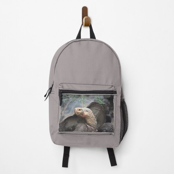 Item preview, Tortoise designed and sold by KDQuin .