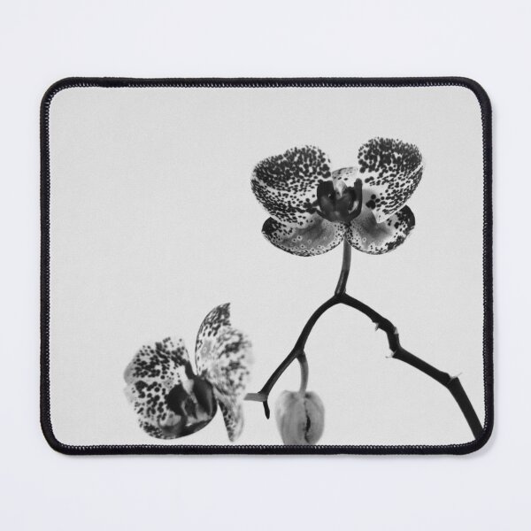 Item preview, Simply a Orchid flower | Black and White Fine Art Photo designed and sold by Diana van Neck.