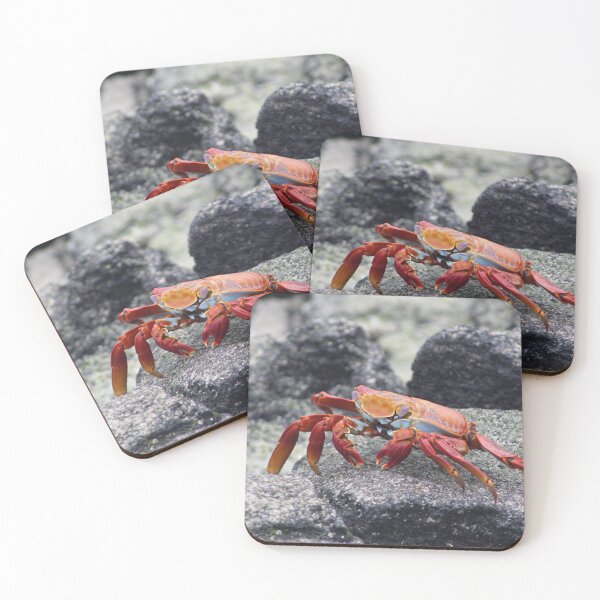 Item preview, Sally Lightfoot Crab designed and sold by KDQuin .
