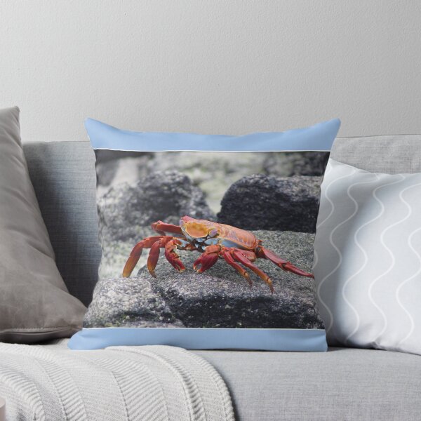 Item preview, Sally Lightfoot Crab designed and sold by KDQuin .