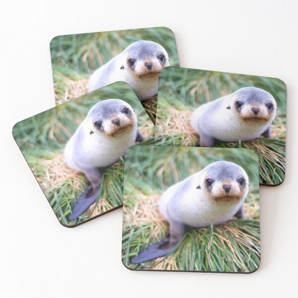 Item preview,  seal photo with high resolution quality designed and sold by Allyouneed-2.