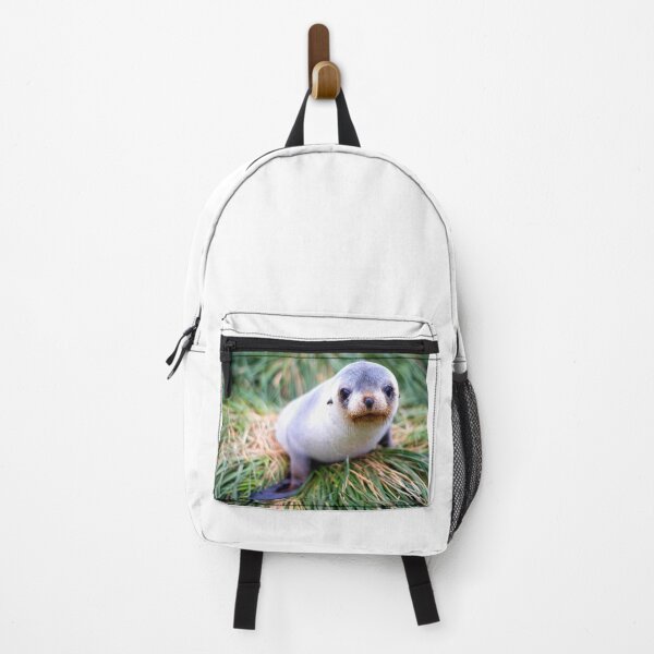 Item preview,  seal photo with high resolution quality designed and sold by Allyouneed-2.