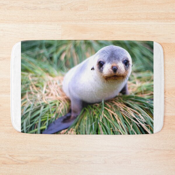Item preview,  seal photo with high resolution quality designed and sold by Allyouneed-2.