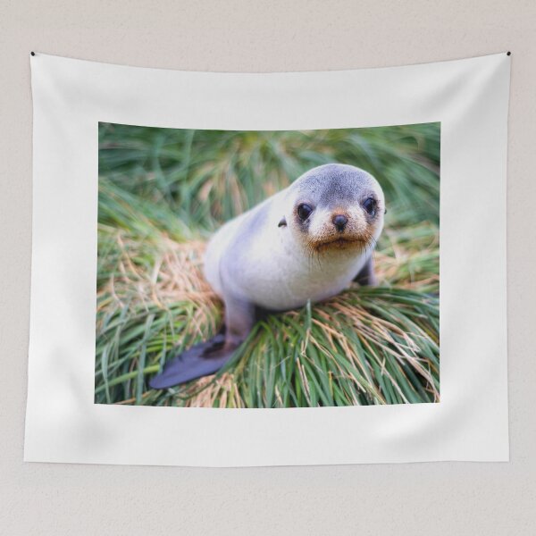 Item preview,  seal photo with high resolution quality designed and sold by Allyouneed-2.
